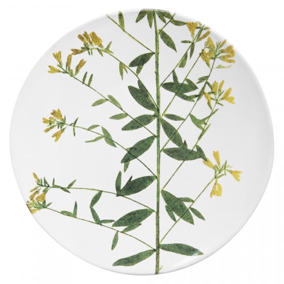 Genista Plate