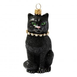 Black Cat with Necklace