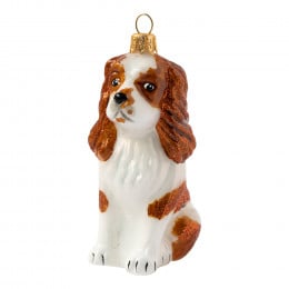 King Charles Cavalier Spaniel