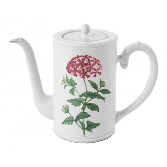 Cafetière Red Star Phlox