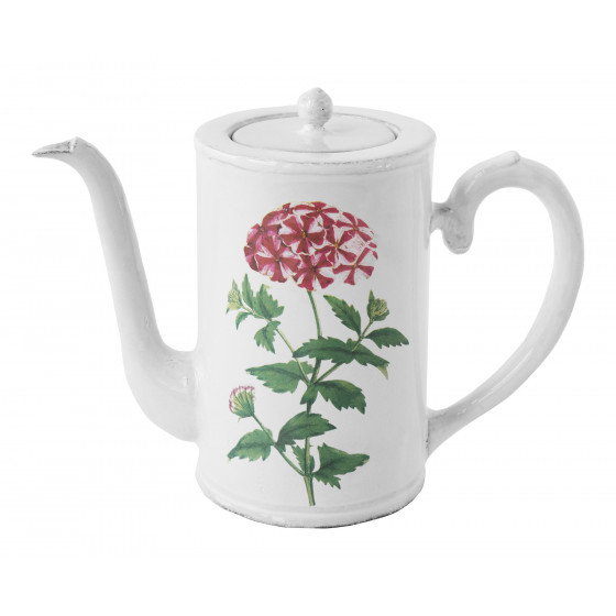 Red Star Phlox Coffee Pot