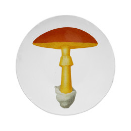 Medium Yellow Agaric Oronge Plate