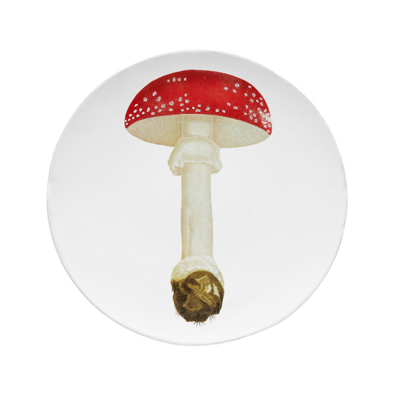 Assiette agaric fausse oronge