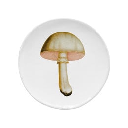 Medium White Champignon Comestible Plate