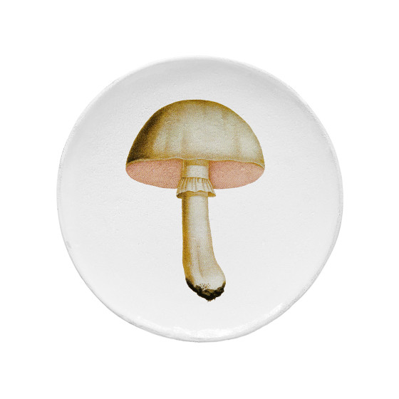 Assiette champignon blanc