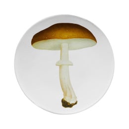 Agaric Blanc Fauve Dinner Plate