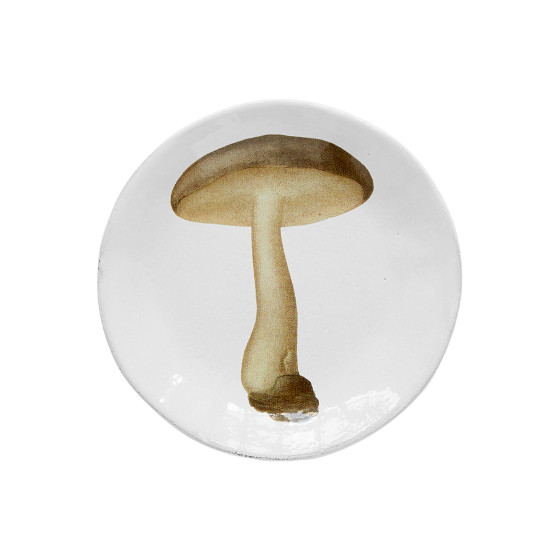 Small Agaric Nebuleux Plate