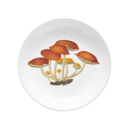 Assiette creuse agaric amer