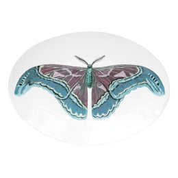 Plat papillon bleu