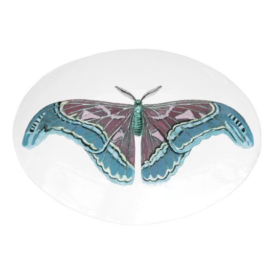 Plat papillon bleu