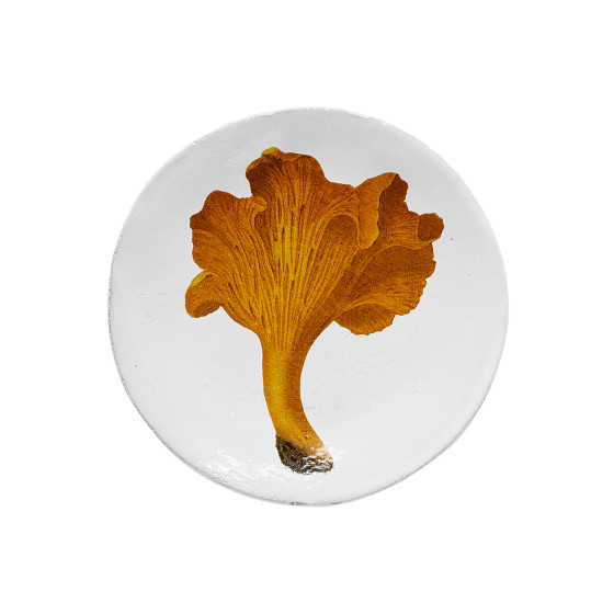 Small Large Chanterelle Comestible Plate