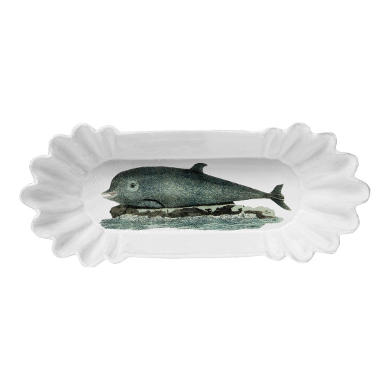 Panorama Dolphin Dish