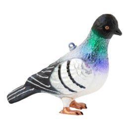 Pigeon Multicolore