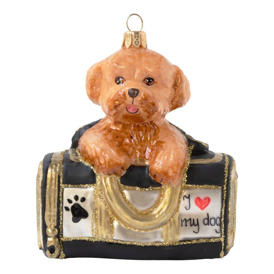 Goldendoodle dans un sac de transport