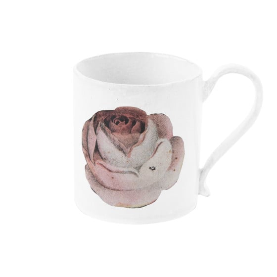 Rose and Insect Mug