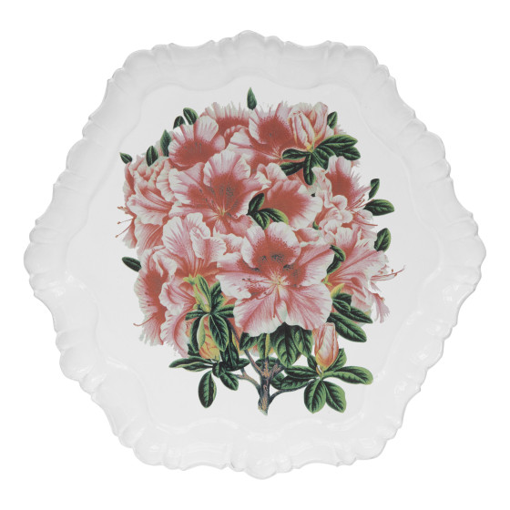 Rhododendron indicum Platter