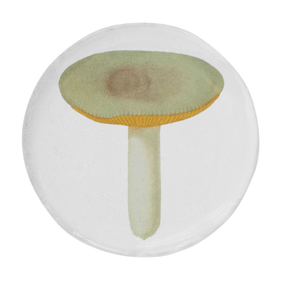 Small Agaric Sapid Plate