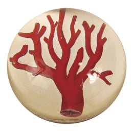 Red Coral Paperweight