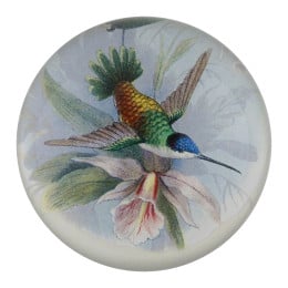 Hummingbird Paperweight