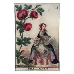 Vide poche rose - beauté