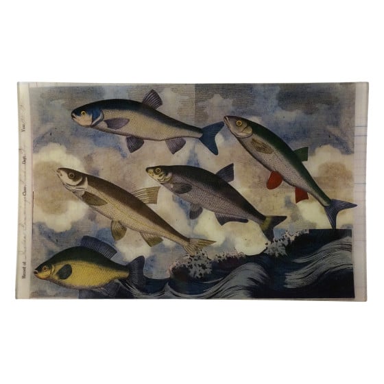 Flying Fish Collage Rectangular Tray