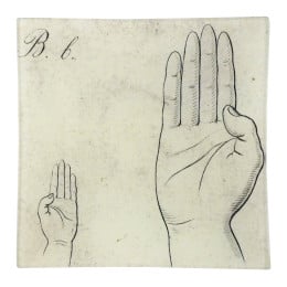 Sign Language Letters B Mini-Tray