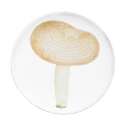 Petite assiette Agaric meurtrier