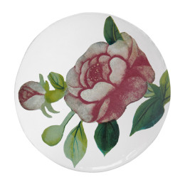 Small Superb Rose Plate