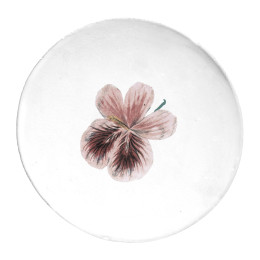 Small Pelargonium Plate