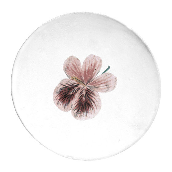 Small Pelargonium Plate