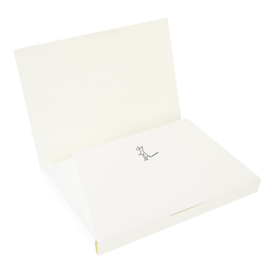 10 Cards + Envelopes Set - Grace Coddington